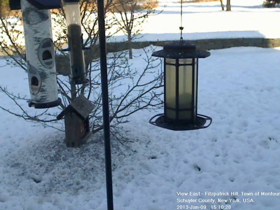 Current Weather Conditions at Montour Falls, New York 315p, 01/09/13